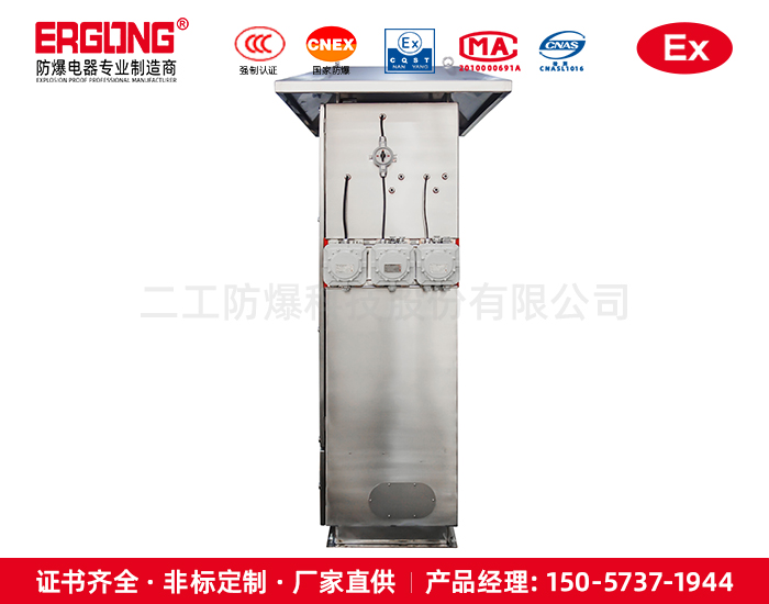 防爆型含氧量分析仪抽取粉尘防爆