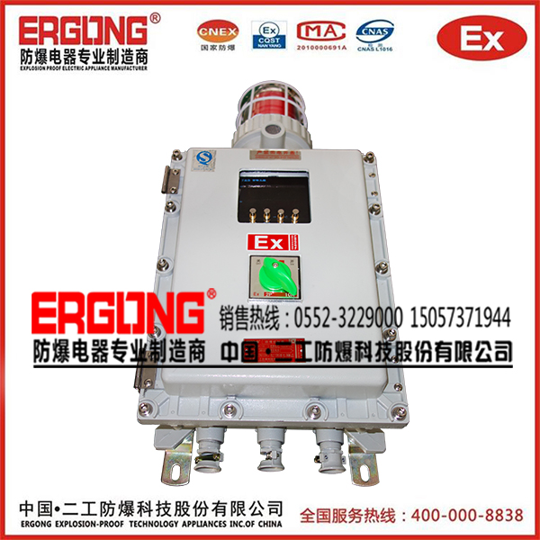 专业生产防爆仪表箱