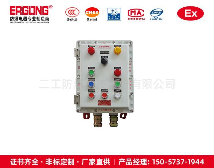 铸铝隔爆控制箱