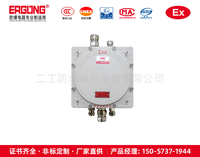 氢气车间用防爆控制箱
