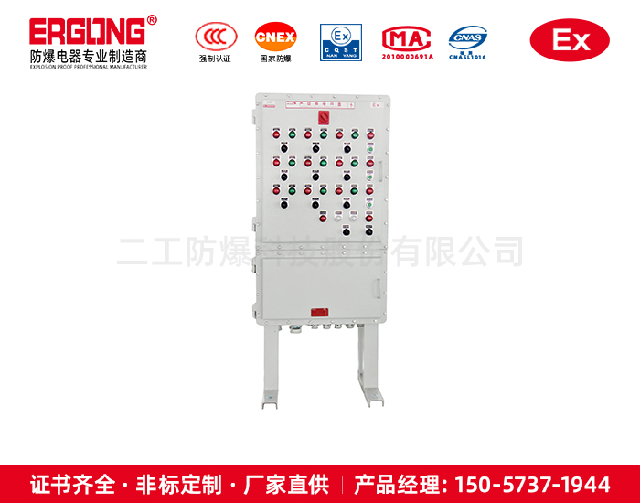防爆碳钢立式控制柜