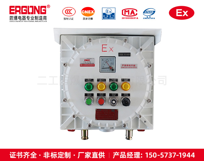 防爆C级控制箱(户外型）