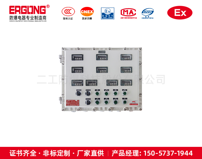 防爆温度仪表控制箱