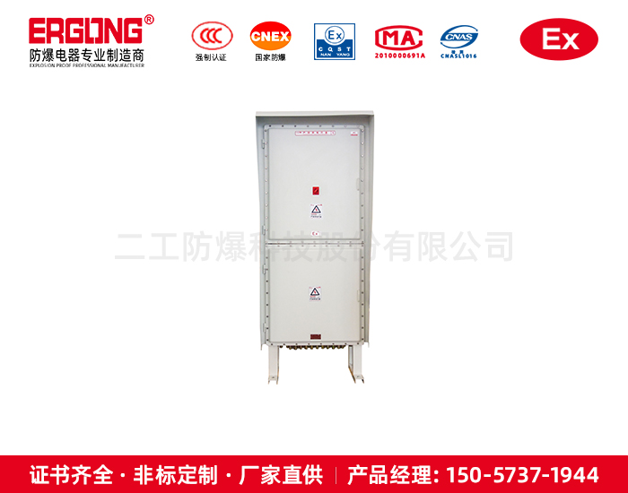 双隔爆箱体上下结构控制箱