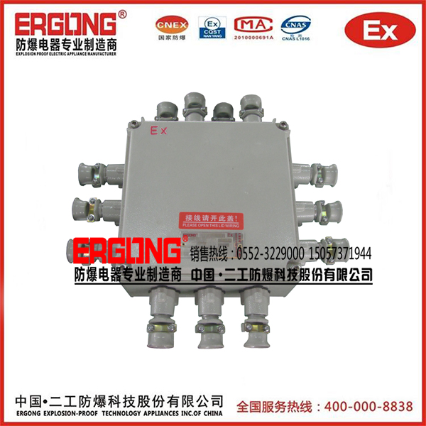 非标定制安全防爆接线箱