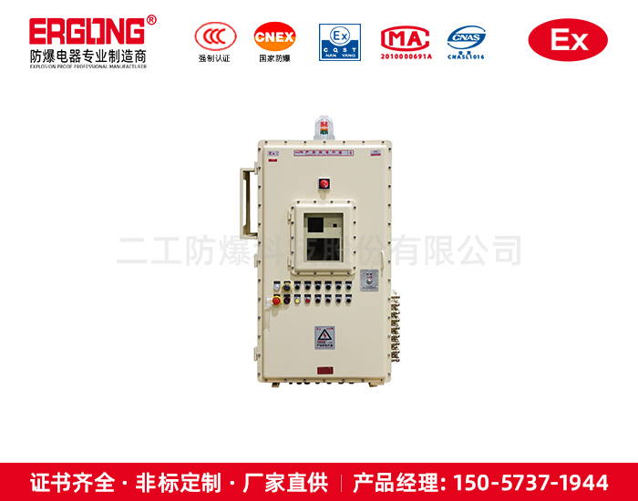 防爆控制箱非标颜色定制